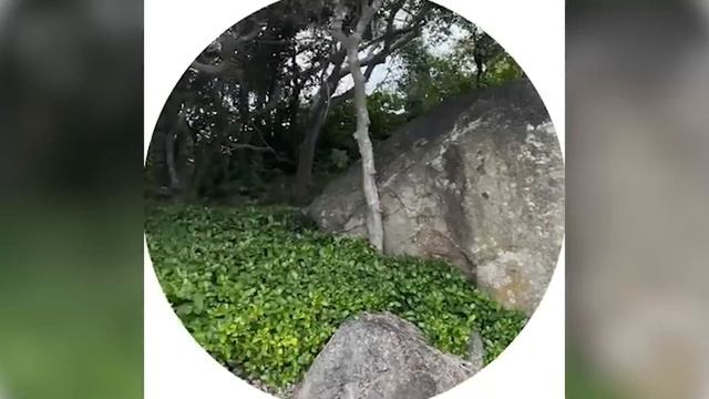 NIX ПРО НОВЫЙ КОНФЛИКТ АМАРА И KIYOTAKA, КРУЖКИ С ОТДЫХА смотреть онлайн