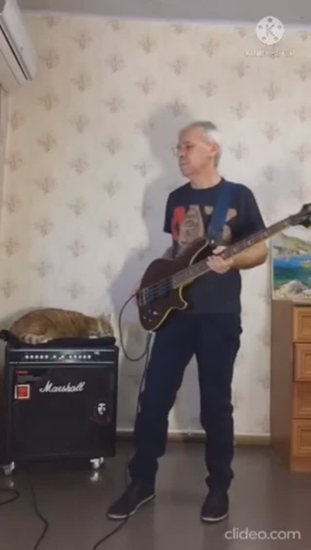 BBMak - Back Here (Bass cover)