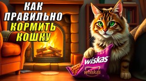 Как правильно кормить кошку