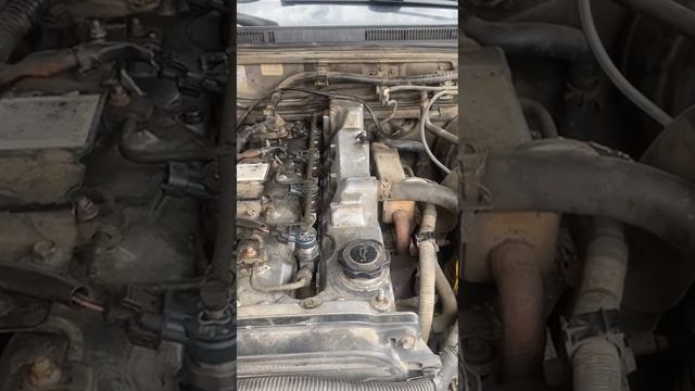 Форсунки 0445110250 Москва 89094827919 смотреть онлайн