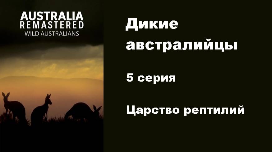 Дикие австралийцы. Царство рептилий (5/6)