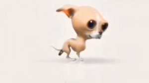 Чихуахуа какает под грустную песню