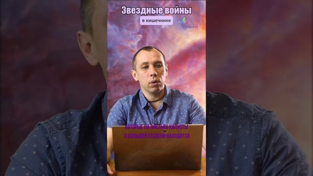 ♻️ Ферментированные овощи. Алексей Попов