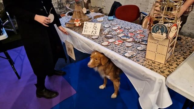 Рождественский фестиваль Корги в Таллинне.Кофе в сьед
