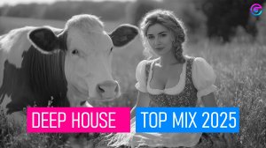 DEEP HOUSE 2025 MAY TOP MIX 🔝