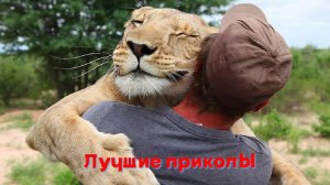 Лучшие приколы | Смех до слез | Подборка приколов 👍🔥
