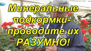 🌱 Почему эти минеральные подкормки НЕ вредят урожаю? Разбираем мифы!