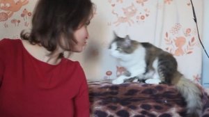 Новости канала ХОМКИ 25.02.17