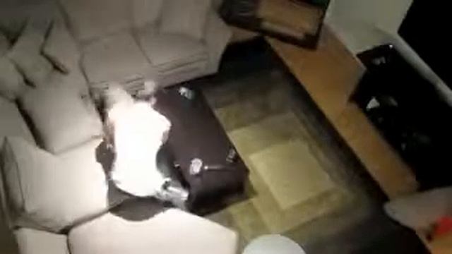 Самый жесткий американский розыгрыш смотреть онлайн