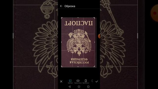 брюки превращаются..