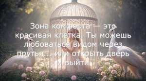 зона комфорта