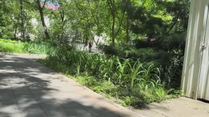 Забрал кабана и поехал в Армавир к Маргарите в больницу.