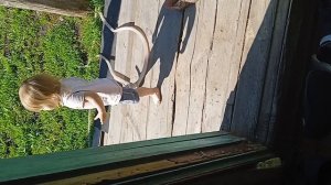 побег в одном сандале🤣