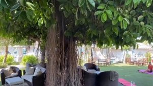 Отель Justiniano Club Alanya 4* Турция