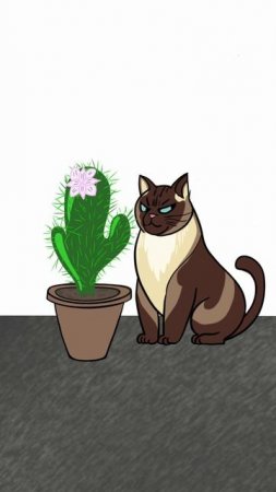Мой кот