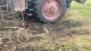 Корчуем кусты Ольхи на экскаваторе ЮМЗ!?!