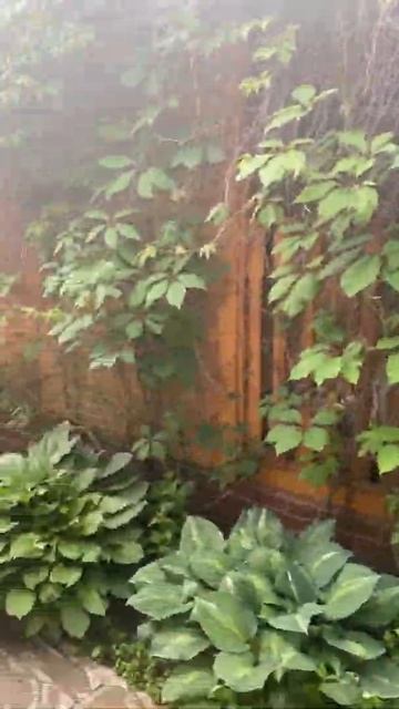 Выход из дома к бане смотреть онлайн