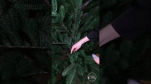 Как красиво расправить ёлку