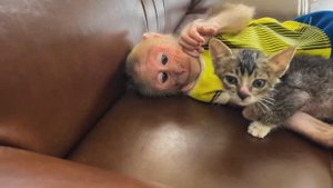У маленького котенка появился ДРУГ ОБЕЗЬЯНКА КРОХА Спять играют валяются на диване ВМЕСТЕ Две смешил