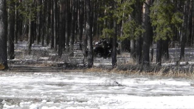 Открытие квадросезона г.Иваново 14 апреля 2012 смотреть онлайн