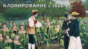 Нас клонировали с 1800-х годов?