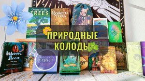 🌿Лесные и Природные Таро и Оракулы || Подборка колод