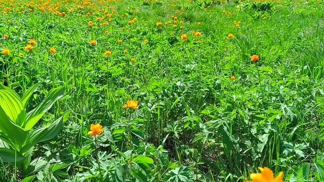 Beauty and harmony of nature.