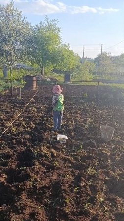 Как же я не люблю сажать картошку, радует что помощник есть. #садоводничество #лайфстайлблог