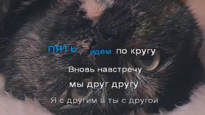 Пиджак ! Анастасия ! Караоке -