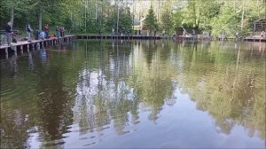 Форель очень активна. Рыбалка на спорт-зоне. Клёвое место, Лосиный остров.