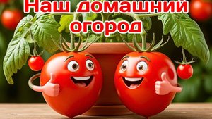 Наш домашний огород.