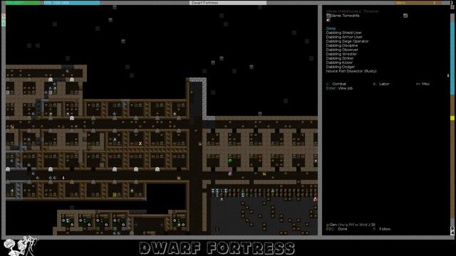 Dwarf fortress 43.05 s2e41 Вода, безумие и дождь. смотреть онлайн