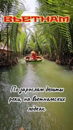 Дельта реки Тхубон, на вьетнамских лодках