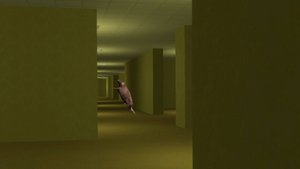 КРЫСА В ЗАКУЛИСЬЕ ПРЕСЛЕДУЕТ МЕНЯ