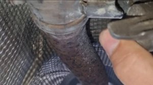 Рено Сценик 3 ошибка DF1378 по заслонке на выхлопной труб?