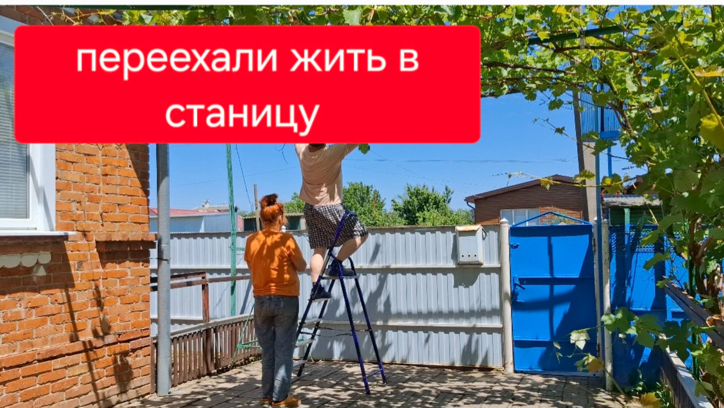 499 🏠 Купили дом на юге. Что говорили хозяева.Жизнь в станице. Что это было? Виноград.