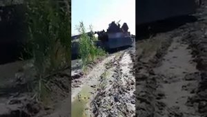 Витязь ДТ30ПКТ с крановой установкой ИНМАН ИФ300С на выв