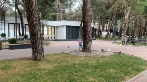 На машине к морю / / ЧП на набережной Геленджика 16.01.2025