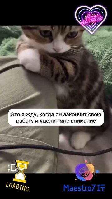 💻 Когда девушка ждёт внимания ...