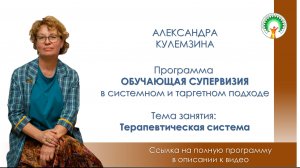 Терапевтическая система. Порочный цикл.