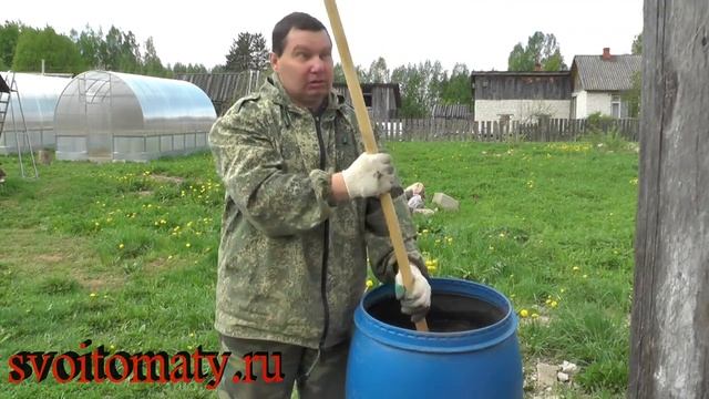 Первая подкормка томатов после высадки