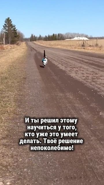 Убрать тревожность, стресс и неуверенность #творец #материализациямыслей #тревожность #силасознания