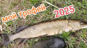 взял свой первый трофей в начале сезона 2025 !!!