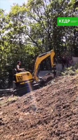 Залипательное видео для вашей ленты — процесс расчистки участка! 💚

📍 89189752173
