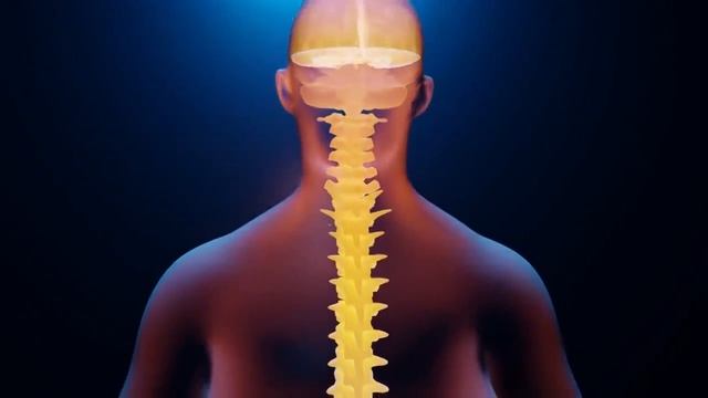 24-05-2025 Матрица Гаряева для Шейного отдела позвоночника. смотреть онлайн