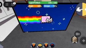 Кот в космосе.