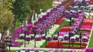 Романс ''Я Вас нисколько не виню...'' Михаил Волош-автор музыки,вокал, гитара. Стихи А. Кудрявцевой.