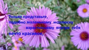 Поздравление с жемчужной свадьбой! С Годовщиной! 30 лет
