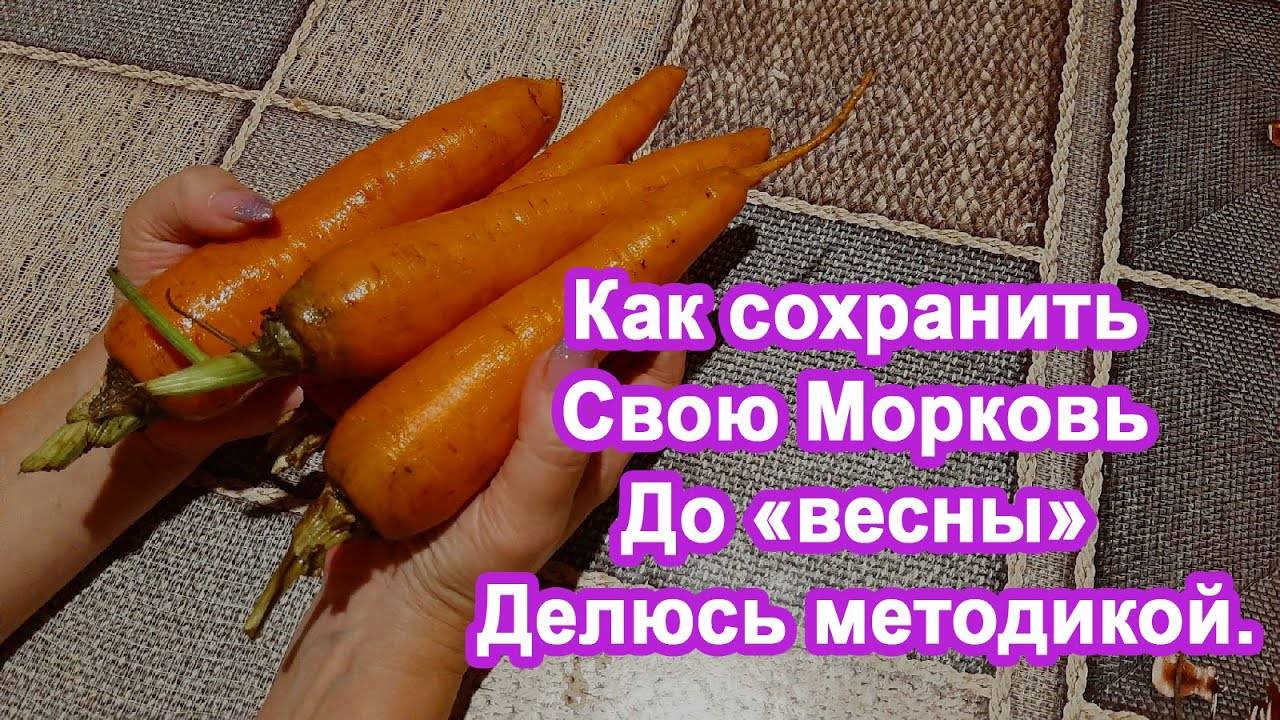 Как сохранить свою Морковь до Весны Делюсь рецептом. Продлеваем срок хранения морковки.