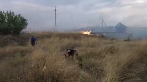 Под Саратовом сгорело 25 гектаров леса